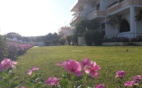 Vera Studios
